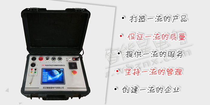 电容式电压互感器现场测试仪